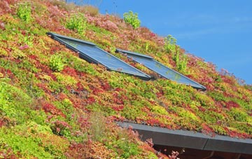 Chepstow living roof systems